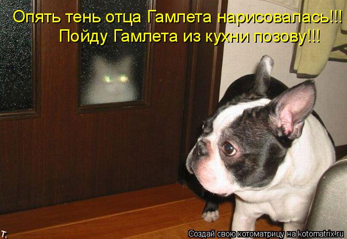 Котоматрица: Опять тень отца Гамлета нарисовалась!!! Пойду Гамлета из кухни позову!!!