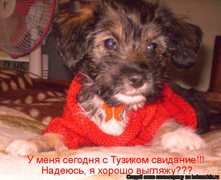 Котоматрица: У меня сегодня с Тузиком свидание!!! Надеюсь, я хорошо выгляжу???