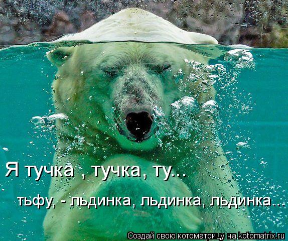 Котоматрица: Я тучка , тучка, ту...  тьфу, - льдинка, льдинка, льдинка...