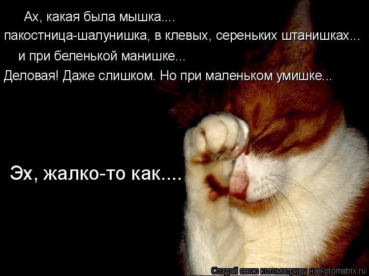 Ах, какая была мышка.... пакостница-шалунишка, в клевых, сереньких штанишках... и при беленькой маниш... Котоматрица: Ах, какая была мышка.... пакостница-шалунишка, в клевых, сереньких штанишках... и при беленькой манишке... Деловая! Даже слишком. Но при маленьк