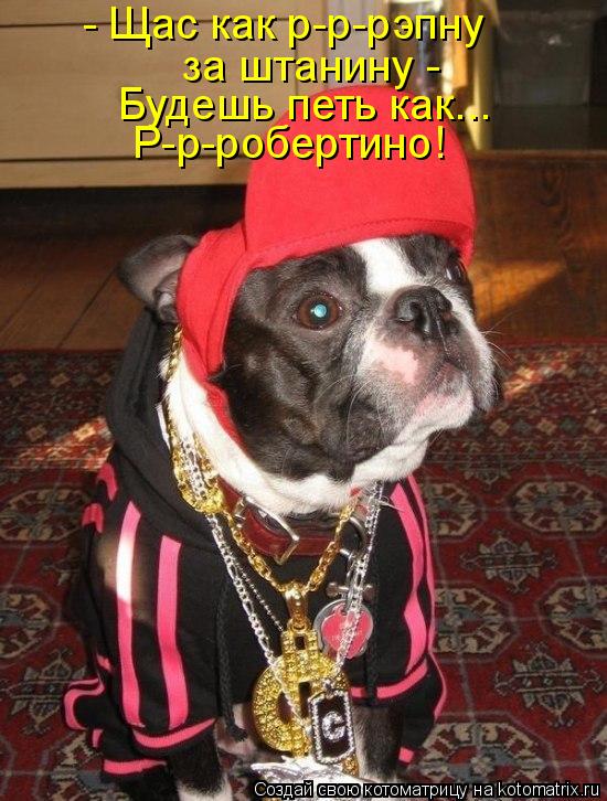 Котоматрица: - Щас как р-р-рэпну за штанину -  Будешь петь как...  Р-р-робертино!