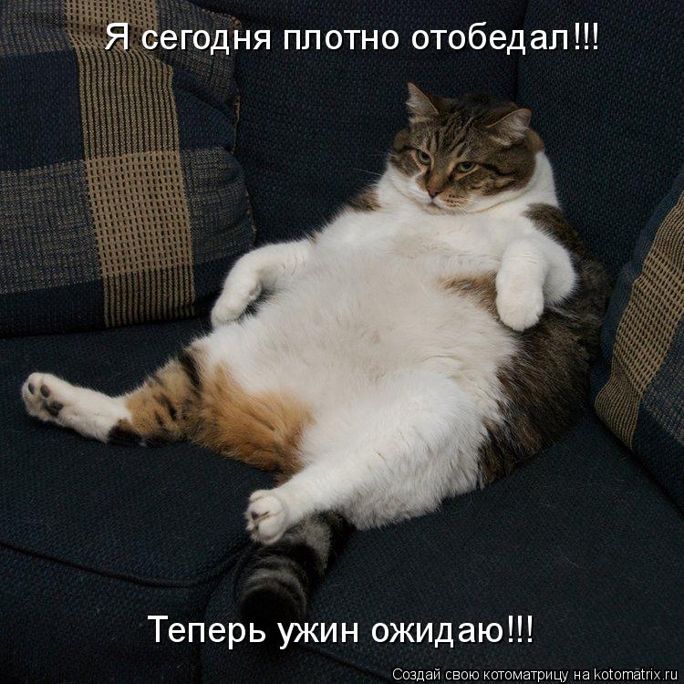 Котоматрица: Я сегодня плотно отобедал!!! Теперь ужин ожидаю!!!