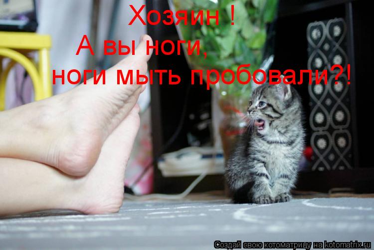 Котоматрица: Хозяин ! А вы ноги, ноги мыть пробовали?!