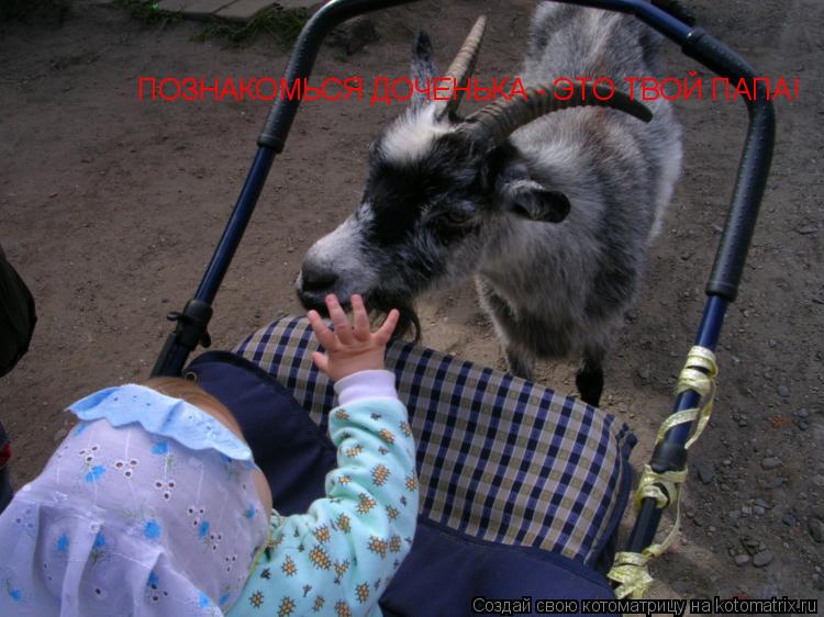 Котоматрица: ПОЗНАКОМЬСЯ ДОЧЕНЬКА - ЭТО ТВОЙ ПАПА!