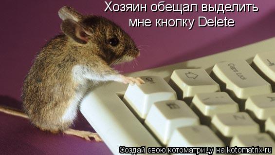 Котоматрица: Хозяин обещал выделить  мне кнопку Delete
