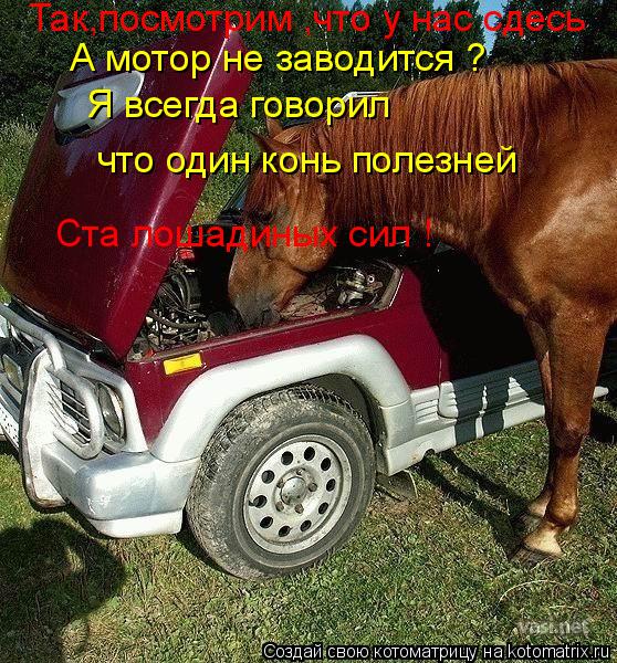Котоматрица: Так,посмотрим ,что у нас сдесь А мотор не заводится ? Я всегда говорил что один конь полезней Ста лошадиных сил !