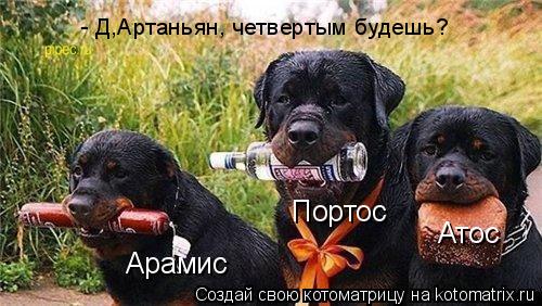 Портос Атос Арамис - Д,Артаньян, четвертым будешь?... Котоматрица: Портос Атос Арамис - Д,Артаньян, четвертым будешь?