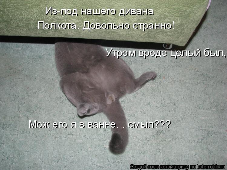 Полкота. Довольно странно! Из-под нашего дивана Утром вроде целый был, Мож его я в ванне. ..смыл???... Котоматрица: Полкота. Довольно странно! Из-под нашего дивана Утром вроде целый был, Мож его я в ванне. ..смыл???