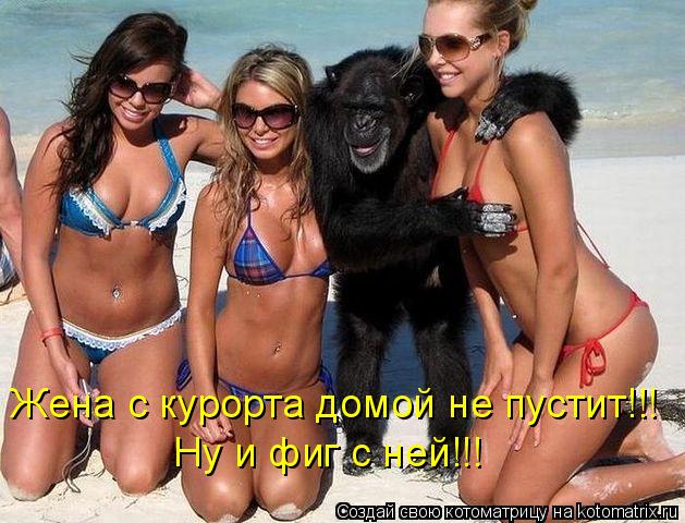 Жена с курорта домой не пустит!!! Ну и фиг с ней!!!... Котоматрица: Жена с курорта домой не пустит!!! Ну и фиг с ней!!!