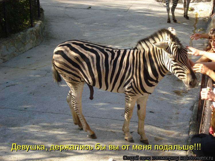 Девушка, держались бы вы от меня подальше!!!... Котоматрица: Девушка, держались бы вы от меня подальше!!!