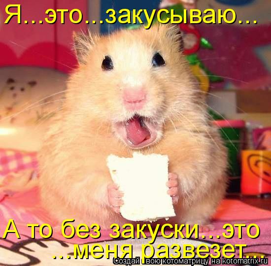 Я...это...закусываю... ...меня развезет... А то без закуски...это... Котоматрица: Я...это...закусываю... ...меня развезет... А то без закуски...это