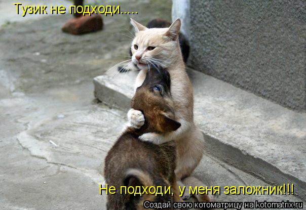 Тузик не подходи..... Не подходи, у меня заложник!!!... Котоматрица: Тузик не подходи..... Не подходи, у меня заложник!!!