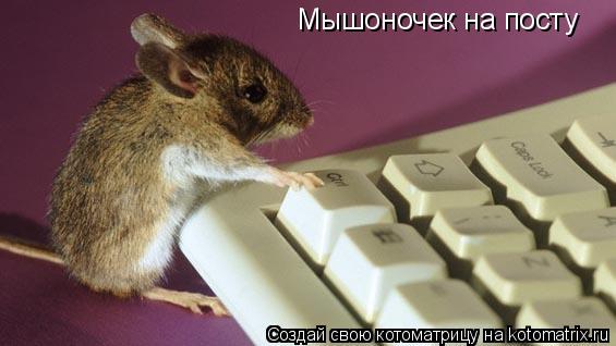 Мышоночек на посту... Котоматрица: Мышоночек на посту
