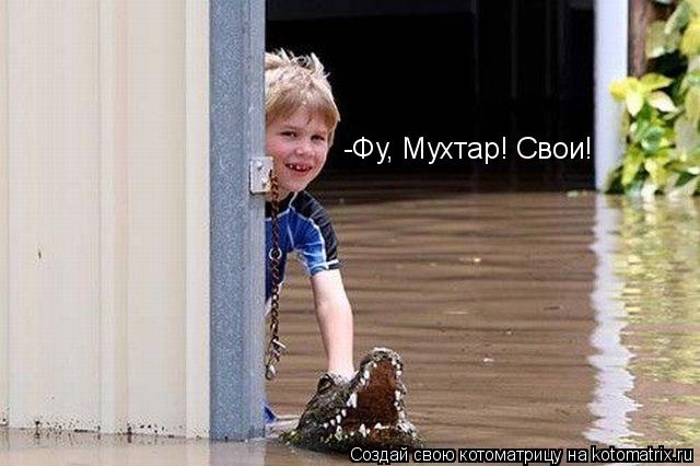 -Фу, Мухтар! Свои!... Котоматрица: -Фу, Мухтар! Свои!