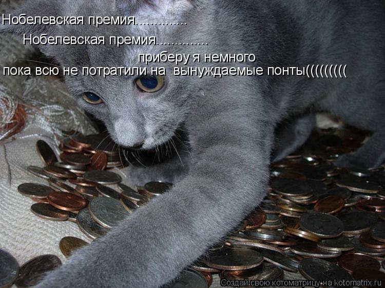 Котоматрица: Нобелевская премия.............. Нобелевская премия.............. приберу я немного пока всю не потратили на  вынуждаемые понты(((((((((