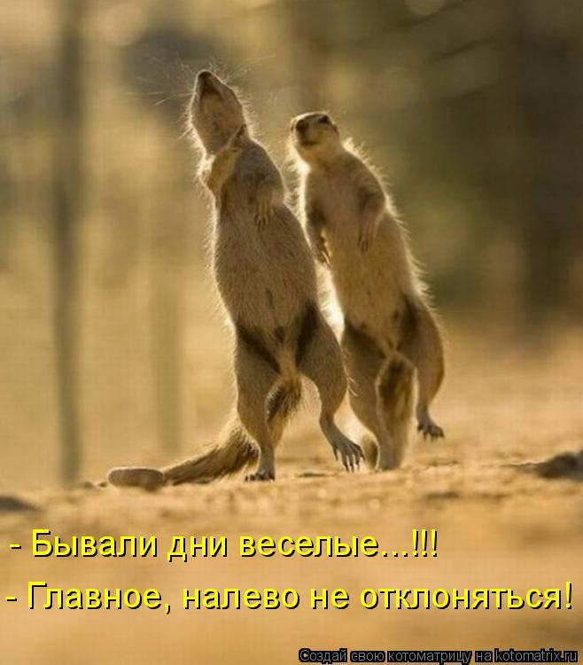 Котоматрица: - Главное, налево не отклоняться! - Бывали дни веселые...!!!