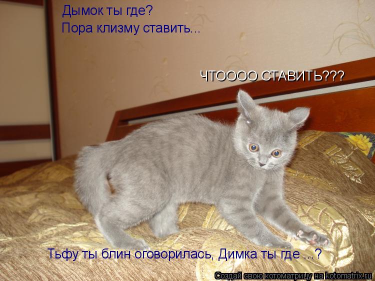 Котоматрица: Дымок ты где? Пора клизму ставить... ЧТОООО СТАВИТЬ??? Тьфу ты блин оговорилась, Димка ты где ...?
