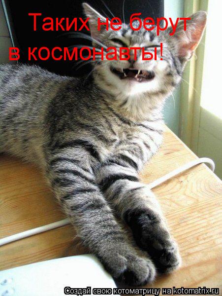 Котоматрица: Таких не берут в космонавты!