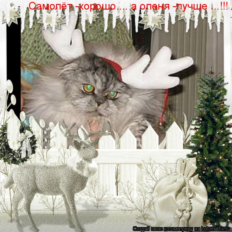 Самолёт -хорошо.... а оленя -лучше ...!!!... Котоматрица: Самолёт -хорошо.... а оленя -лучше ...!!!