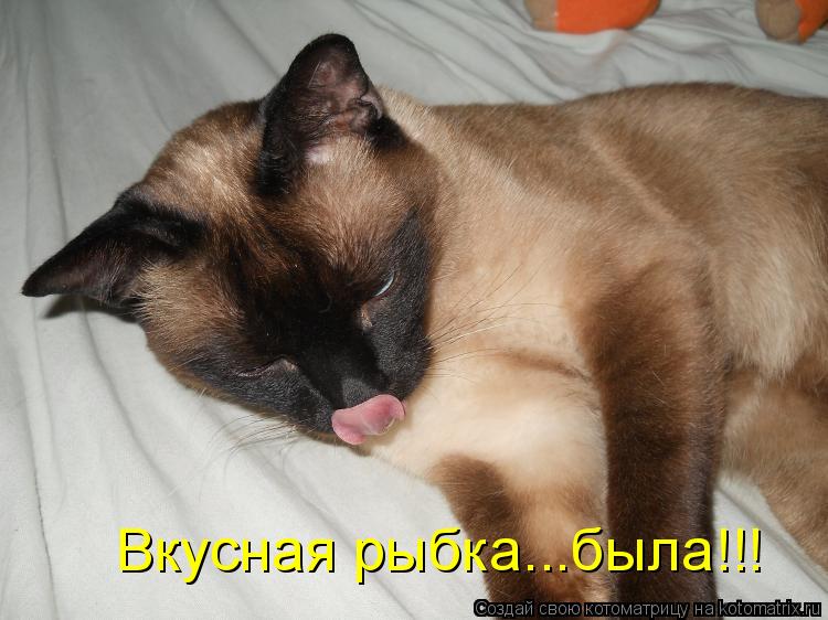 Вкусная рыбка...была!!!... Котоматрица: Вкусная рыбка...была!!!