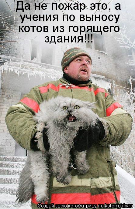 Котоматрица: здания!!! учения по выносу котов из горящего Да не пожар это, а