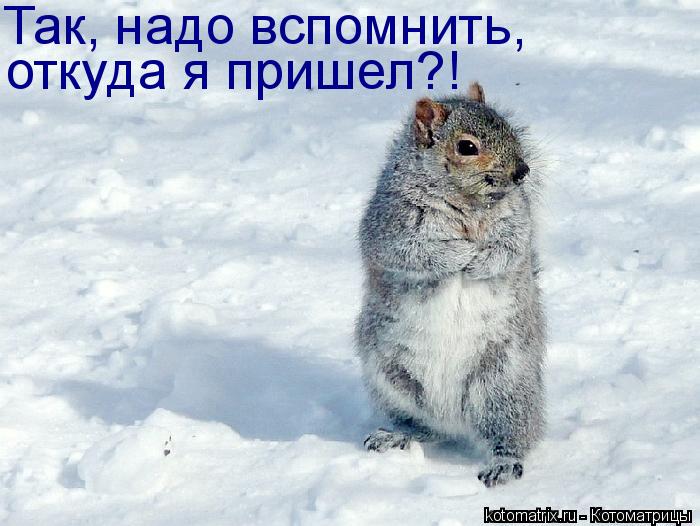 Котоматрица: Так, надо вспомнить, откуда я пришел?!
