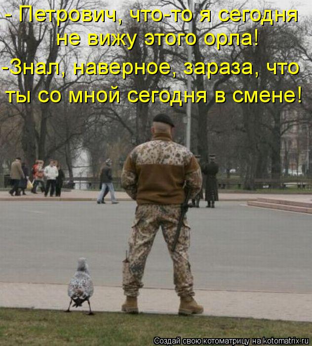 Котоматрица: не вижу этого орла! - Петрович, что-то я сегодня -Знал, наверное, зараза, что ты со мной сегодня в смене!