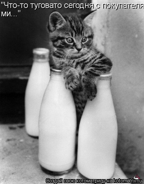 Котоматрица: "Что-то туговато сегодня с покупателя- ми..."