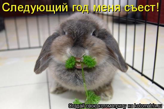 Котоматрица: Следующий год меня съест!