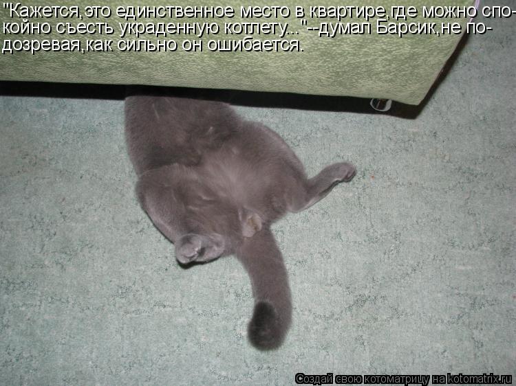 Котоматрица: "Кажется,это единственное место в квартире,где можно спо- койно съесть украденную котлету..."--думал Барсик,не по- дозревая,как сильно он ошиб