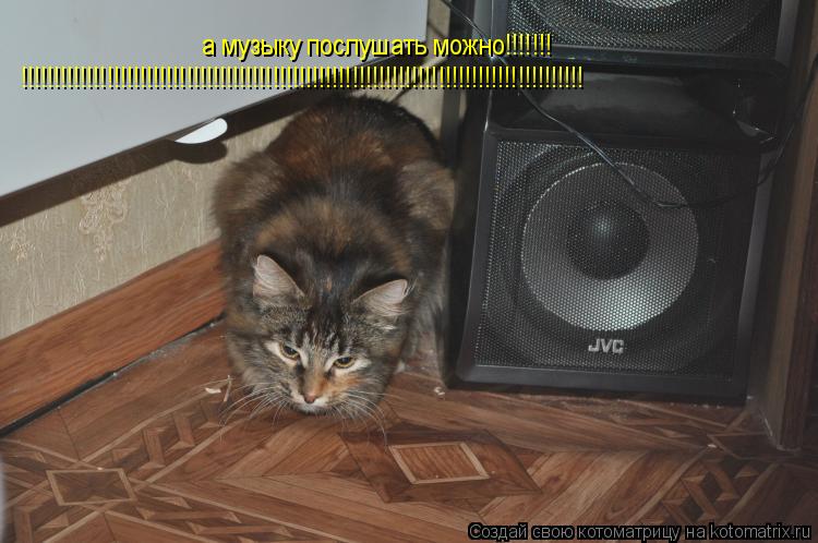 Котоматрица: а музыку послушать можно!!!!!!! !!!!!!!!!!!!!!!!!!!!!!!!!!!!!!!!!!!!!!!!!!!!!!!!!!!!!!!!!!!!!!!!!!!!!!!!!!!!!!!!!!!!!