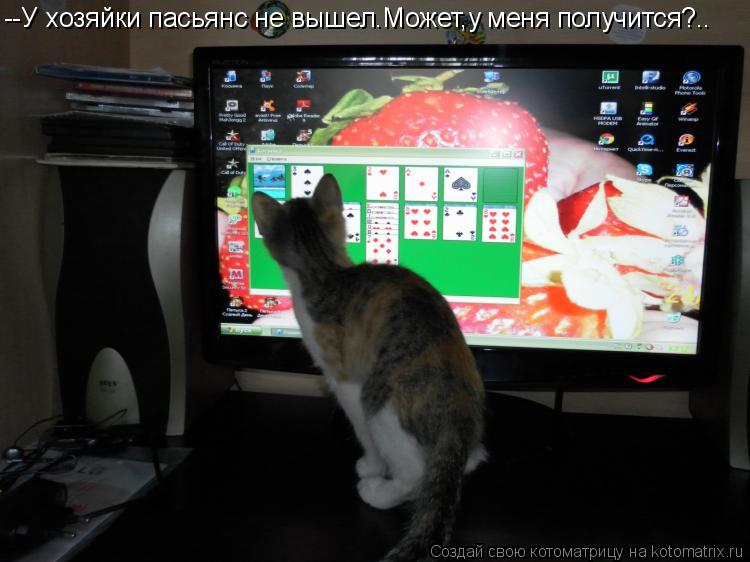 Котоматрица: --У хозяйки пасьянс не вышел.Может,у меня получится?..