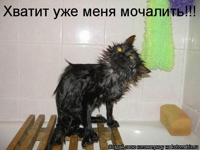 Котоматрица: Хватит уже меня мочалить!!!