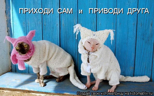 Котоматрица: ПРИХОДИ  САМ   и   ПРИВОДИ  ДРУГА