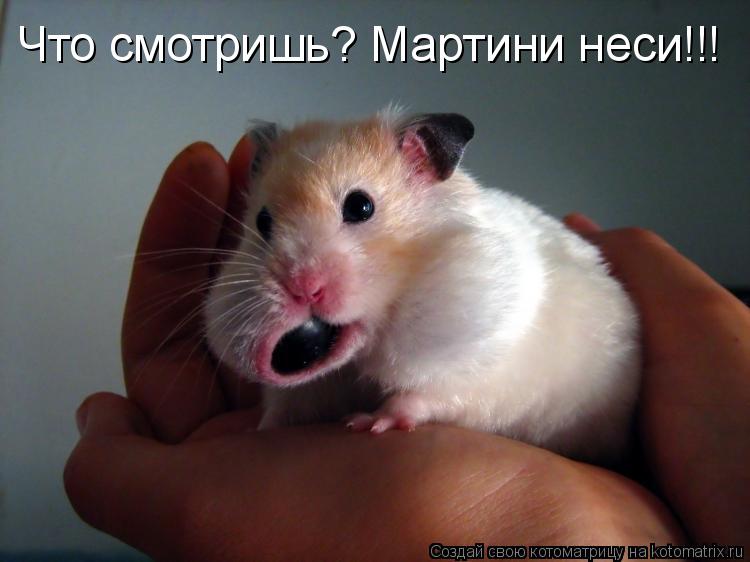 Котоматрица: Что смотришь? Мартини неси!!!
