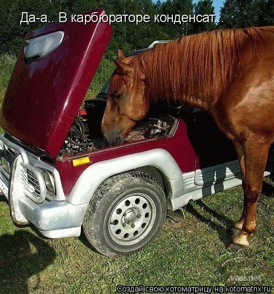 Котоматрица: Да-а.. В карбюраторе конденсат...