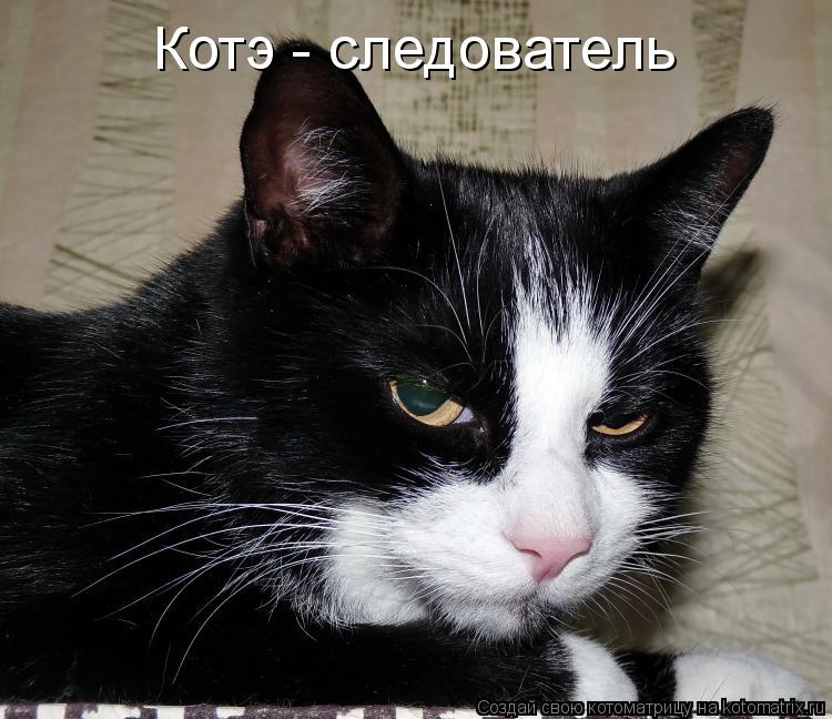 Котоматрица: Котэ - следователь