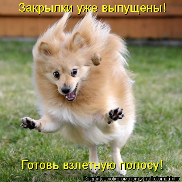 Котоматрица: Готовь взлетную полосу! Закрылки уже выпущены!