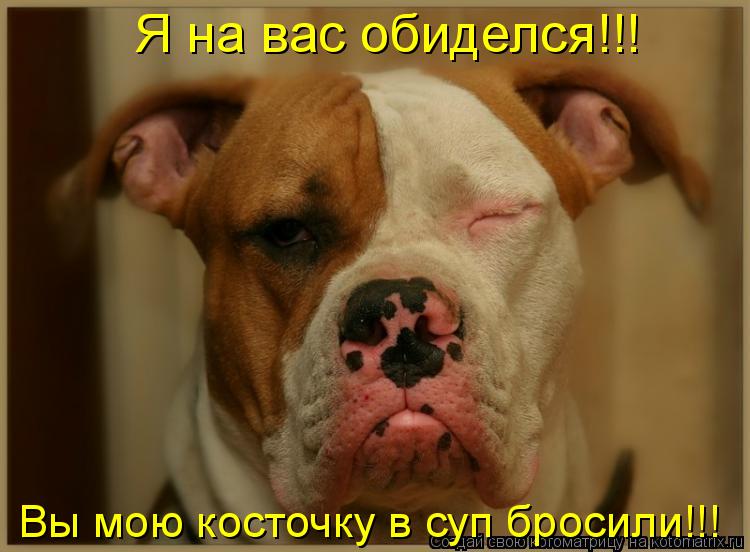 Котоматрица: Я на вас обиделся!!! Вы мою косточку в суп бросили!!!