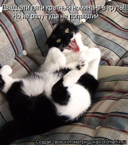 Котоматрица: Двадцати пяти кратный номинант в круть!!!   Но не разу туда не попавший.