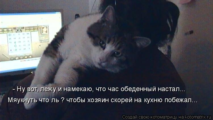 Котоматрица: - Ну вот, лежу и намекаю, что час обеденный настал...  Мяукнуть что ль ? чтобы хозяин скорей на кухню побежал...