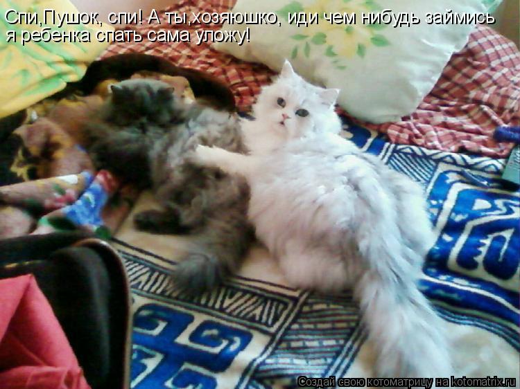 Котоматрица: Спи,Пушок, спи! А ты,хозяюшко, иди чем нибудь займись я ребенка спать сама уложу!