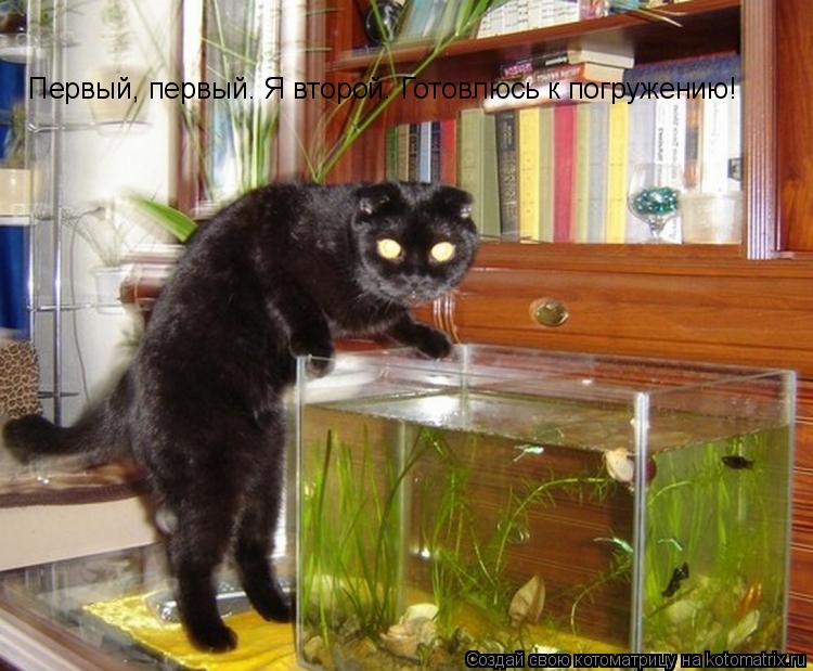 Котоматрица: Первый, первый. Я второй. Готовлюсь к погружению!