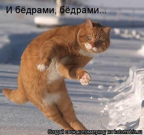 Котоматрица: И бёдрами, бёдрами...