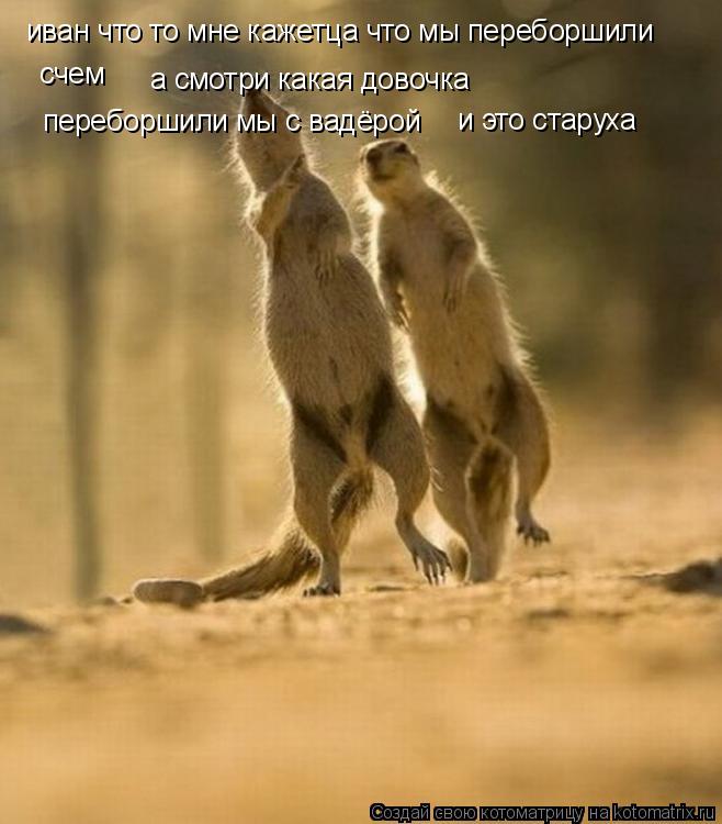Котоматрица: иван что то мне кажетца что мы переборшили  счем  а смотри какая довочка переборшили мы с вадёрой и это старуха