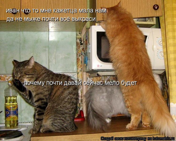 Котоматрица: иван что то мне кажетца мала нам да не мыже почти всё выкраси  почему почти давай сёйчас мело будет