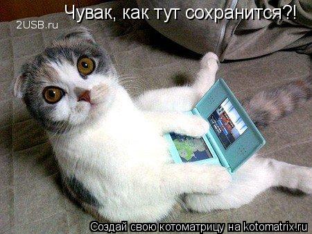 Котоматрица: Чувак, как тут сохранится?!