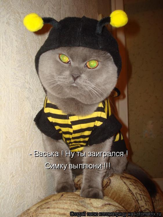 - Васька ! Ну ты заигрался ! Симку выплюни !!!... Котоматрица: - Васька ! Ну ты заигрался ! Симку выплюни !!!