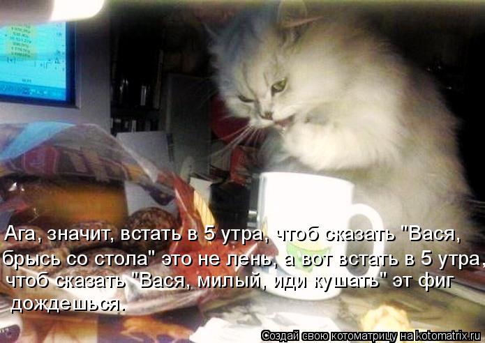 Ага, значит, встать в 5 утра, чтоб сказать "Вася, брысь со стола" это не лень, а вот встать в 5 утра,... Котоматрица: Ага, значит, встать в 5 утра, чтоб сказать "Вася, брысь со стола" это не лень, а вот встать в 5 утра, чтоб сказать "Вася, милый, иди кушать" эт фиг