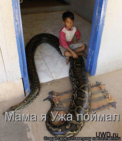 Мама я Ужа поймал... Котоматрица: Мама я Ужа поймал